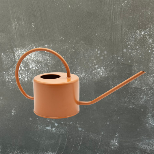 1L Metal Watering Can - Assorted Colours