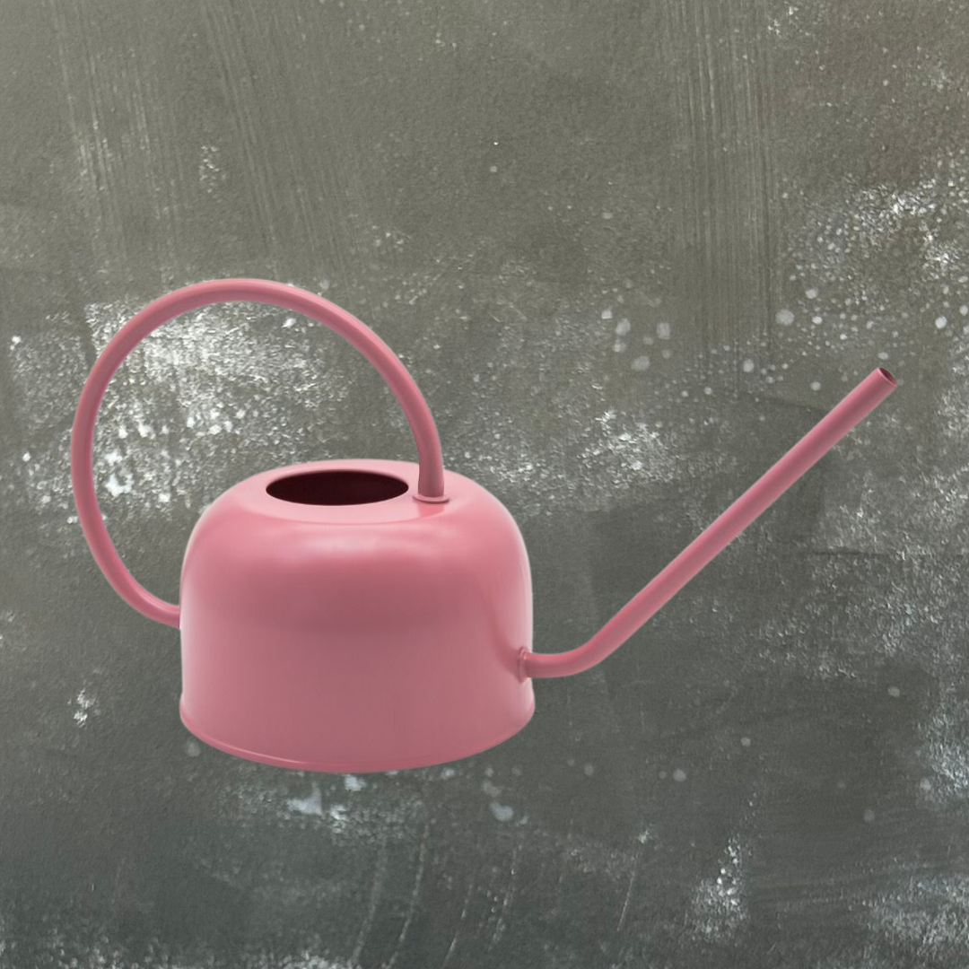 1L Metal Watering Can - Assorted Colours