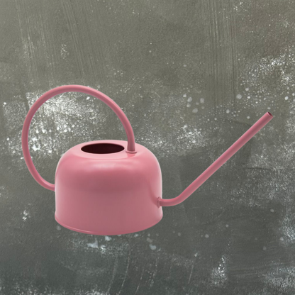 1L Metal Watering Can - Assorted Colours