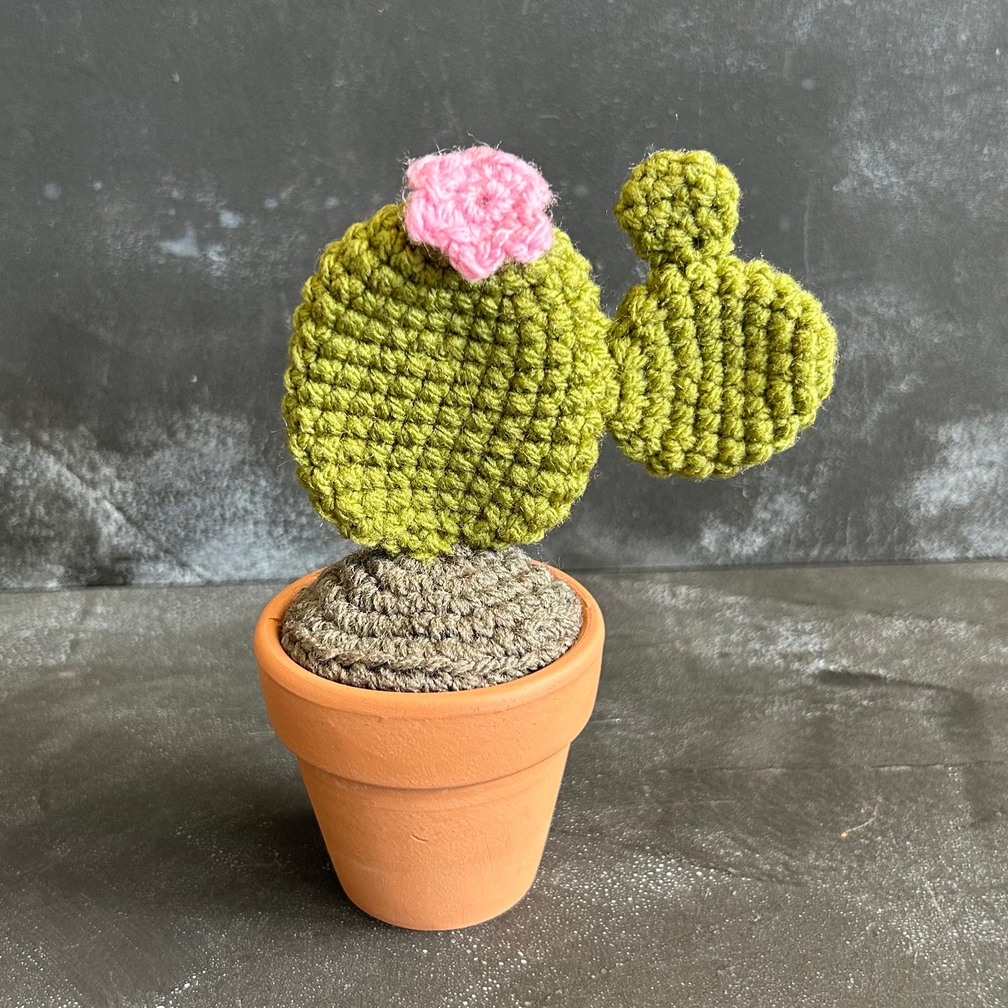 Crocheted Cacti Collection