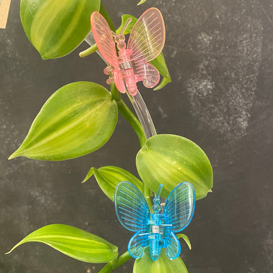 Rainbow Butterfly Plant Clips 10pk