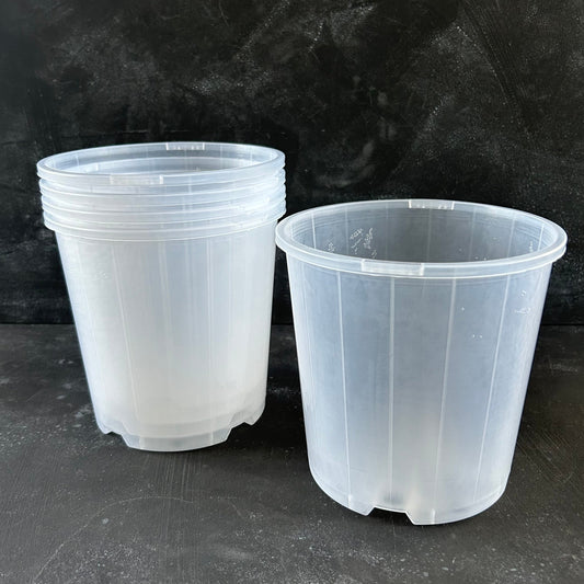 Clear Nursery Pot - 150mm
