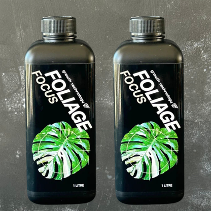 Double Foliage Focus 1L