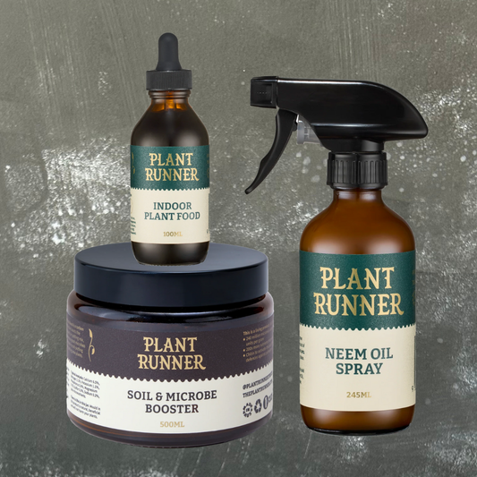 Plant Runner Collection Bundle