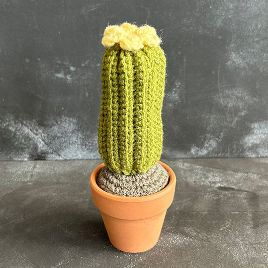 Crocheted Cacti Collection