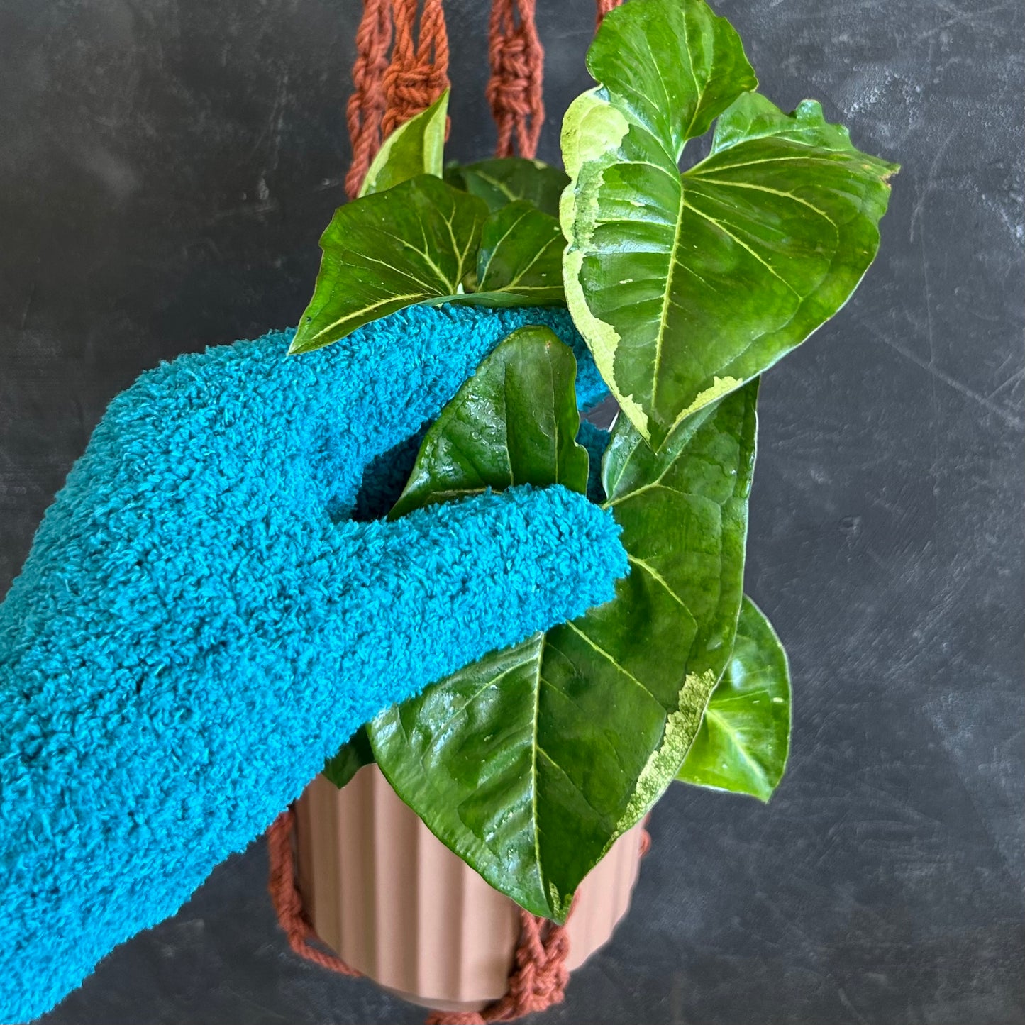 Planti Leaf Cleaning & Care Gloves