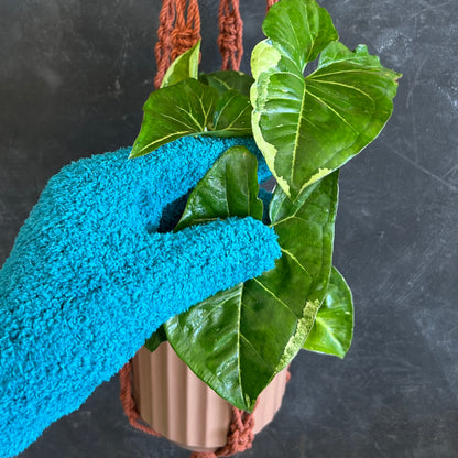 Planti Leaf Cleaning & Care Gloves