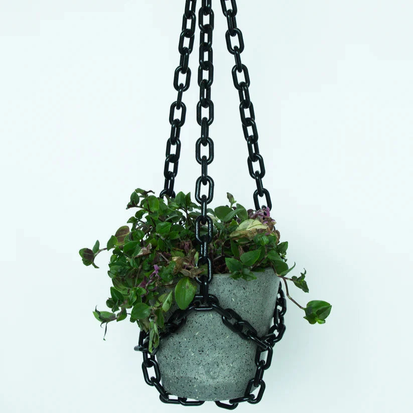 Plant Hangers by Woljam Studios