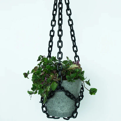 Plant Hangers by Woljam Studios