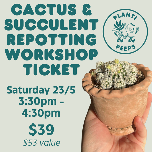 Cactus & Succulent Repotting Workshop Ticket - 23/5