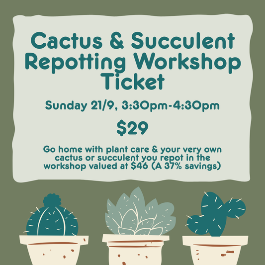Cactus & Succulent Repotting Workshop Ticket - 21/9/25