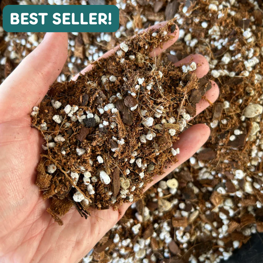 Hand holding chunky & funky indoor plant mix showing a well aerated soil-less potting mix that keeps you from overwatering your plants