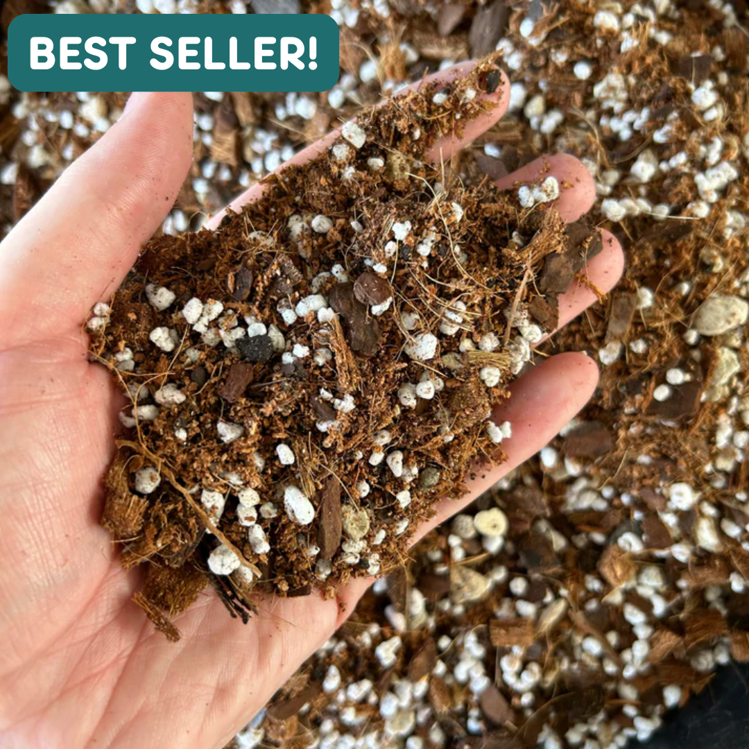 Hand holding chunky & funky indoor plant mix showing a well aerated soil-less potting mix that keeps you from overwatering your plants