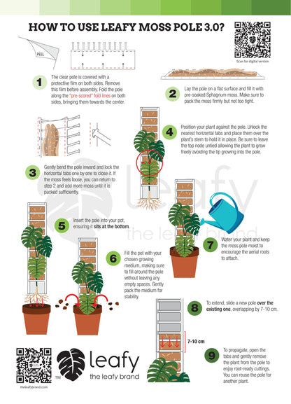 moss pole instructions Leafy Moss Pole 3.0| Indoor Plant Moss Pole Support Australia – Planti Peeps