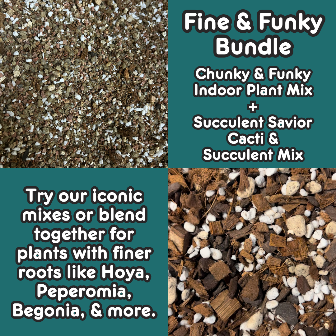 Fine & Funky Mix Bundle - Finer Grit for Finer Roots (POSTAL DELIVERY)