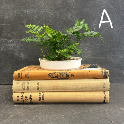 Book Stack Planter