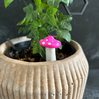 Planti Pot Peep - Shroomie