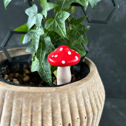 Planti Pot Peep - Shroomie
