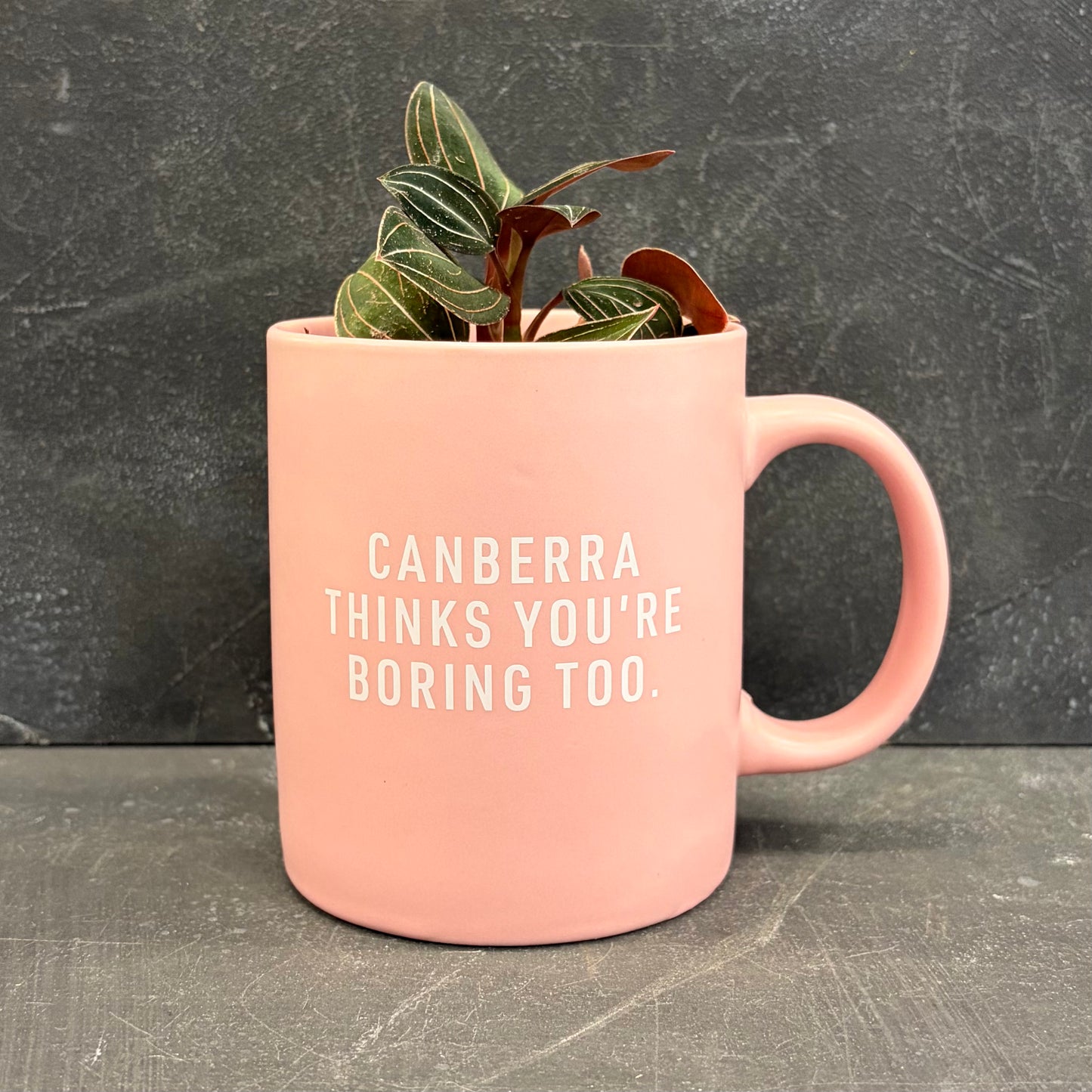 Canberra Mugs by North/South