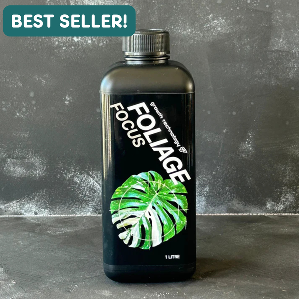 gt focus on foliage plant fertilizer Foliage Focus by Growth Technology