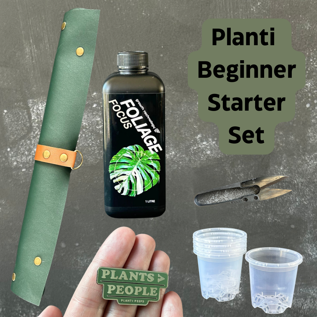Planti Beginners Starter Set