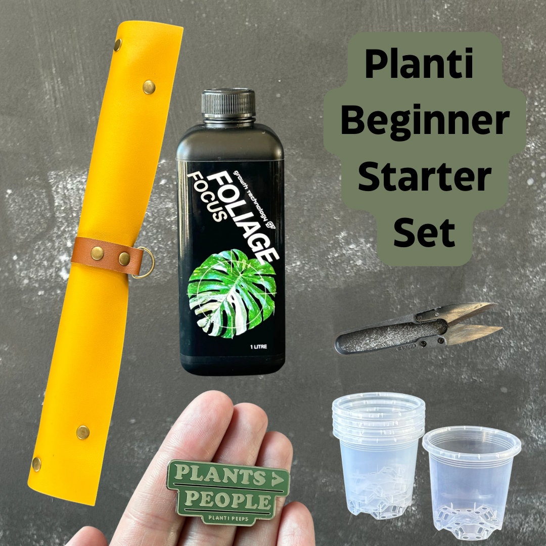 Planti Beginners Starter Set
