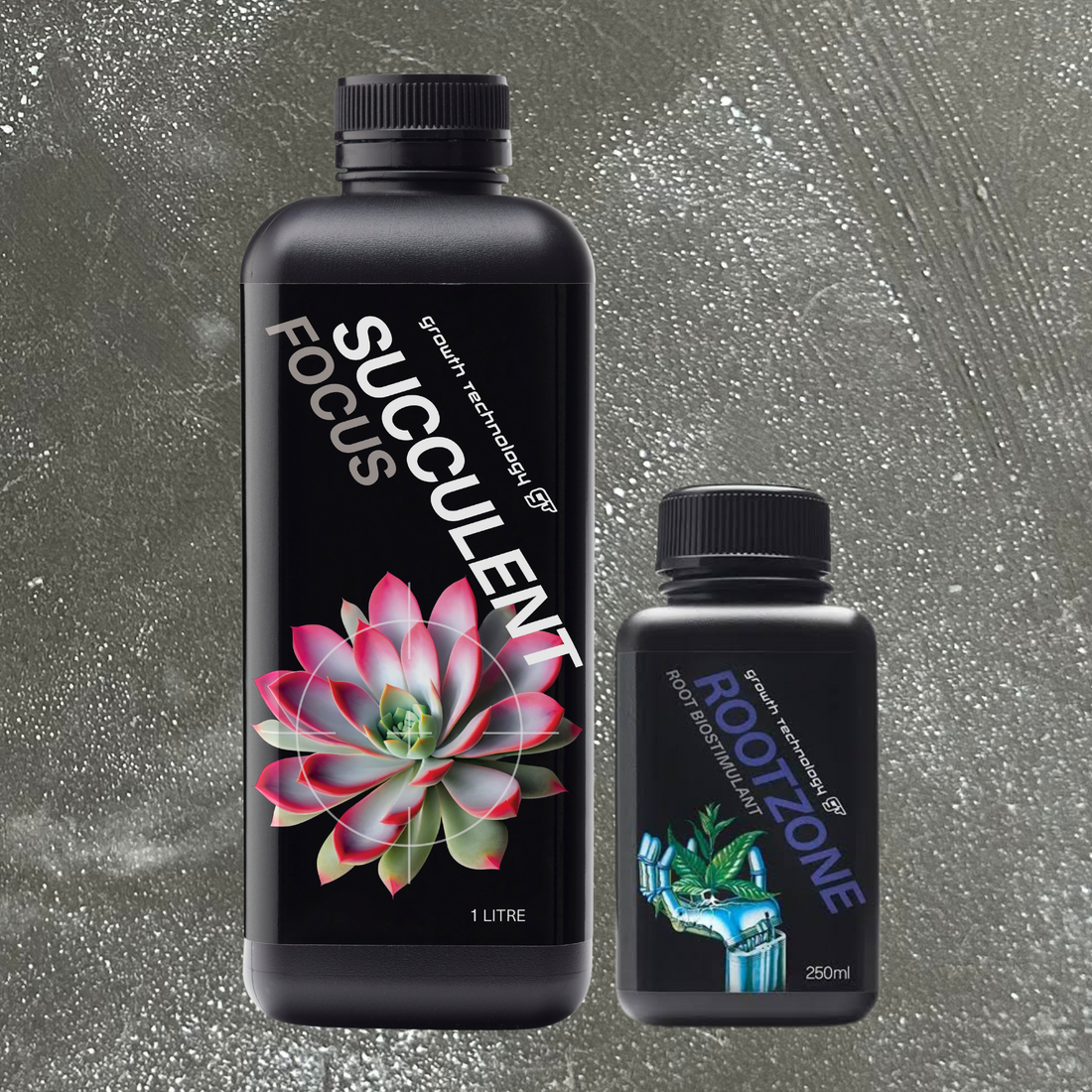 Biggest & Best Succulents Bundle