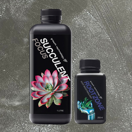 Biggest & Best Succulents Bundle