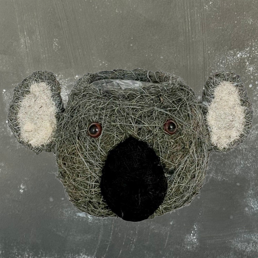 Koala Husk Planter 10cm