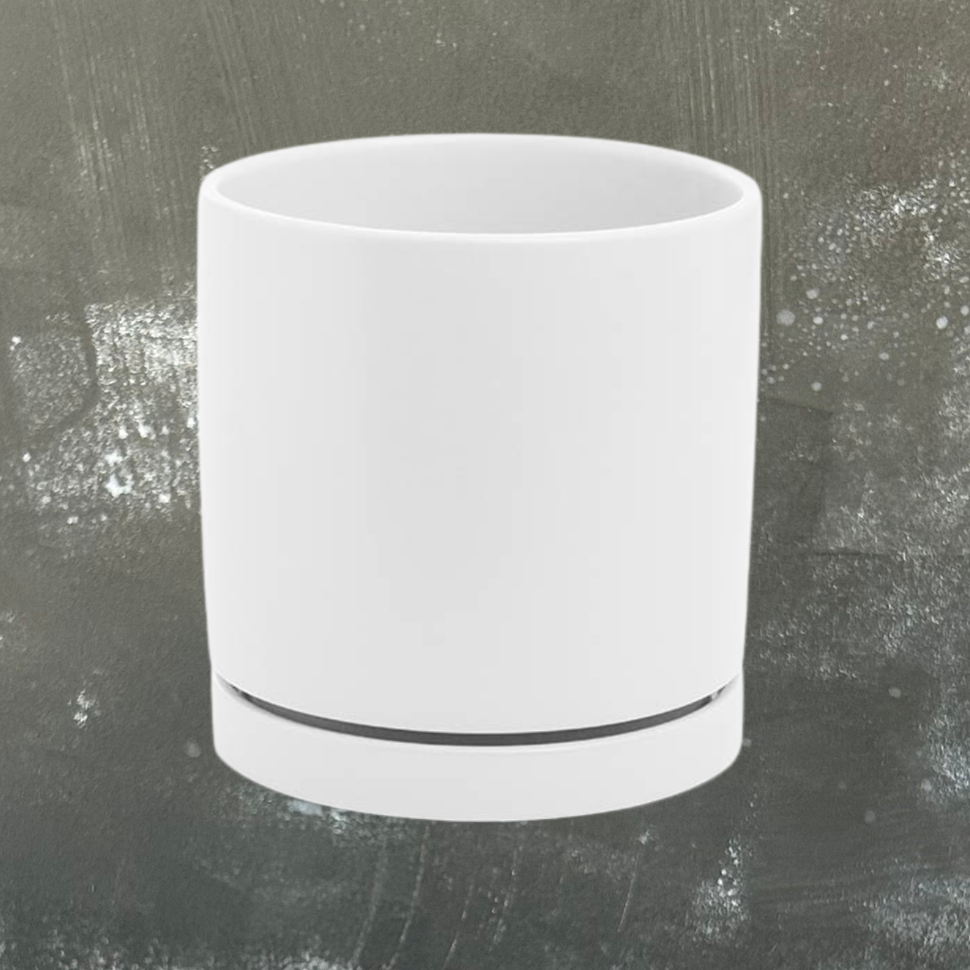 Cylinder Plant Pot with Adhered Saucer - Large (PICKUP/LOCAL DELIVERY)