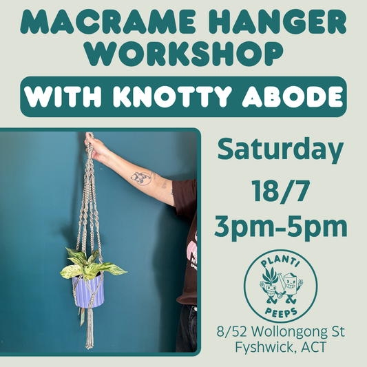 Macrame Hanger Workshop - 18/7