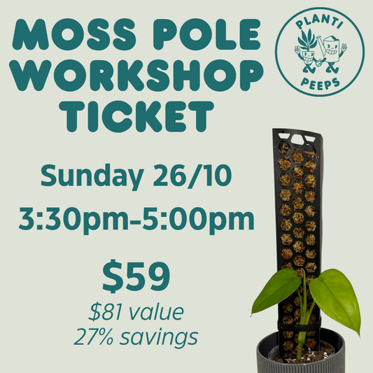 Moss Pole Workshop Ticket - 26/10/25