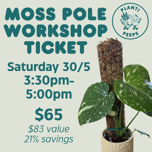 Moss Pole Workshop Ticket - Saturday 30/5