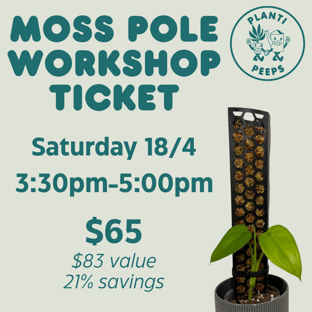 Moss Pole Workshop Ticket - Saturday 18/4