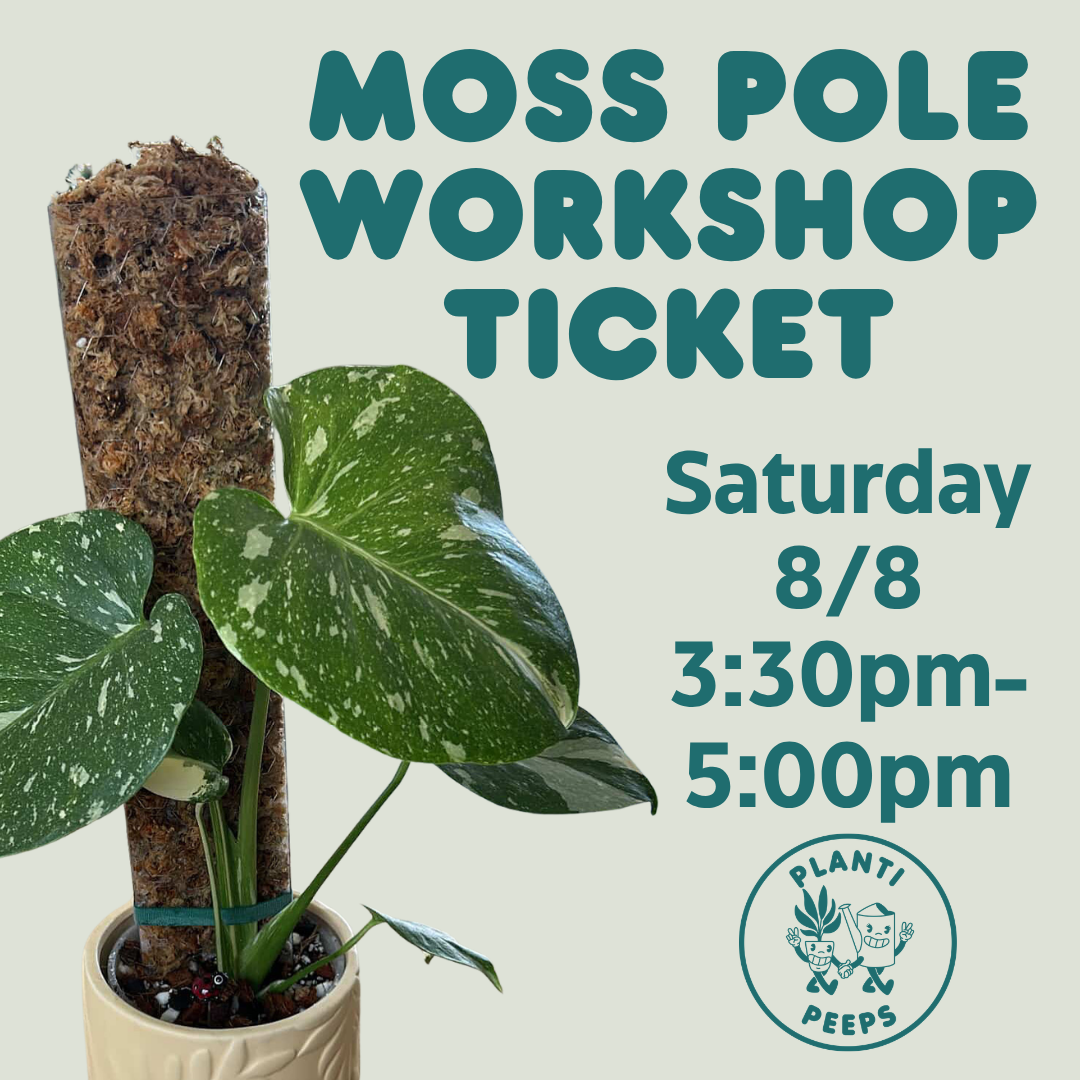 Moss Pole Workshop Ticket - Saturday 8/8