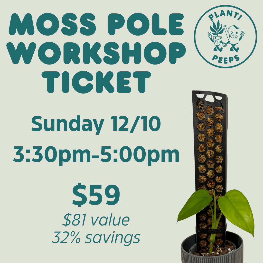 Moss Pole Workshop Ticket - 12/10/25