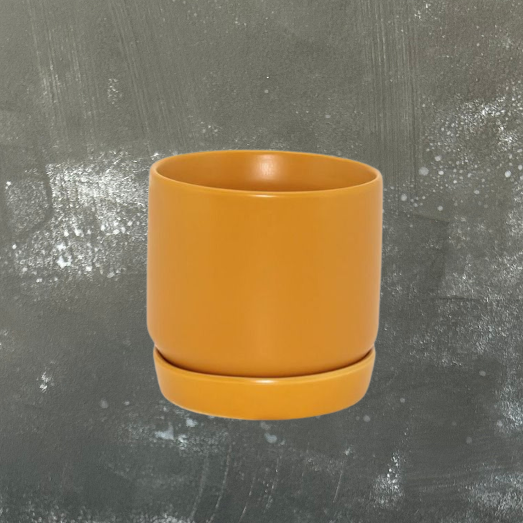 Oslo Plant Pot with Saucer - Mini