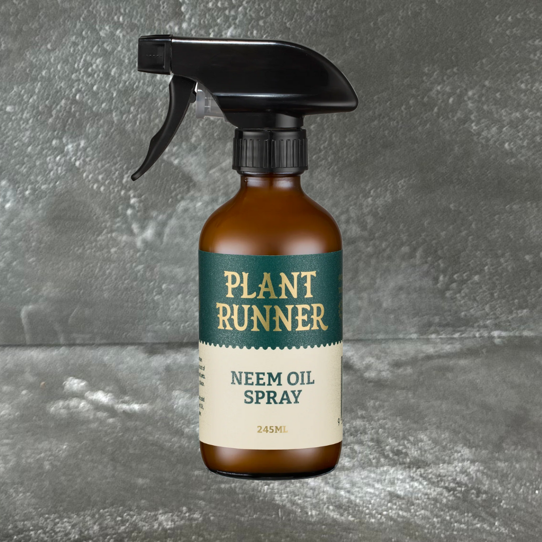 Neem Oil Leaf Shine by Plant Runner