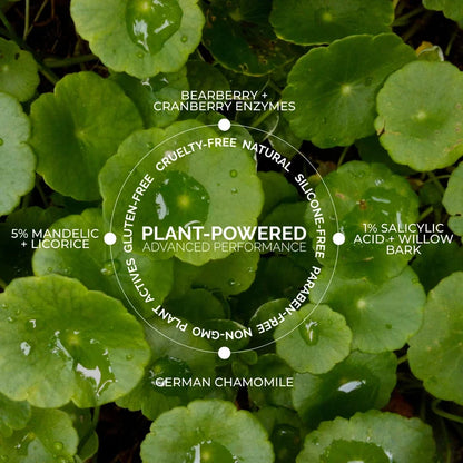 Plant Active Peel Pads by Fitglow Beauty