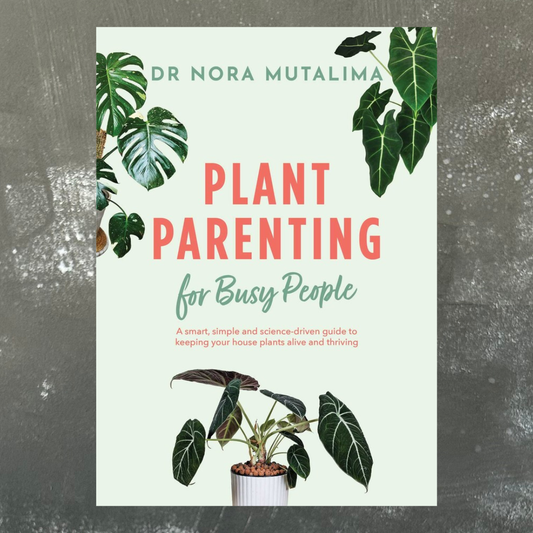 Plant Parenting for Busy People by Dr. Nora Mutalima