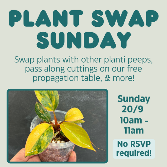 Plant Swap Sunday 20/9 - FREE TO ATTEND EVENT