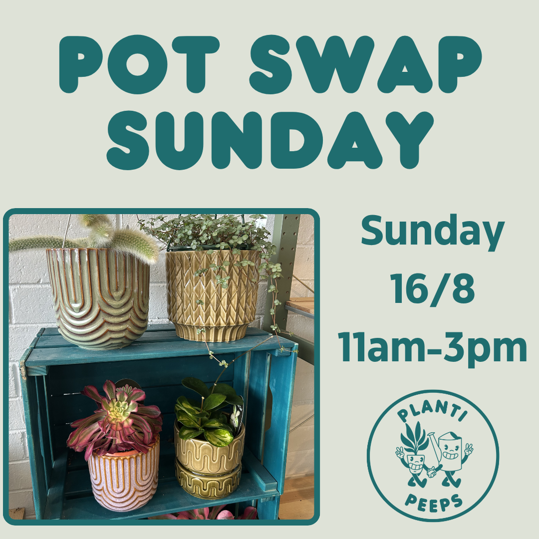 Pot Swap Sunday 16/8