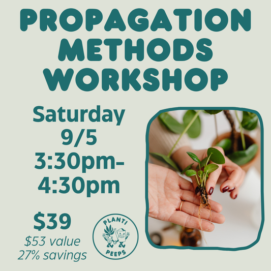 Propagation Methods Workshop - Saturday 9/5