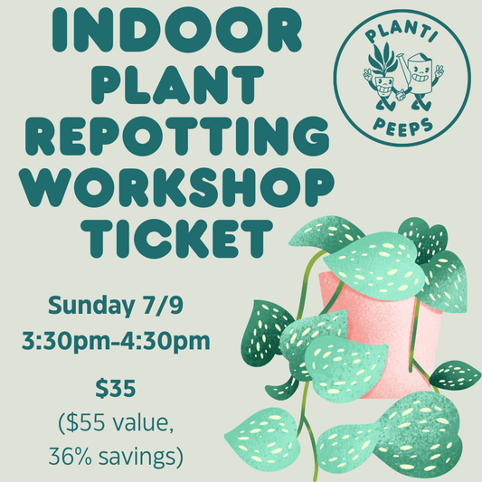 Indoor Plant Repotting Workshop Ticket - 7/9
