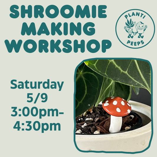 Shroomie Making Workshop Ticket - Saturday 5/9