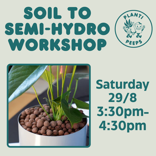 Soil to Semi-Hydro Workshop Ticket - Saturday 29/8