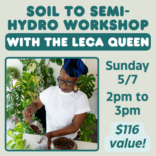 Soil to Semi-Hydro Workshop with The LECA Queen 5/7 2pm