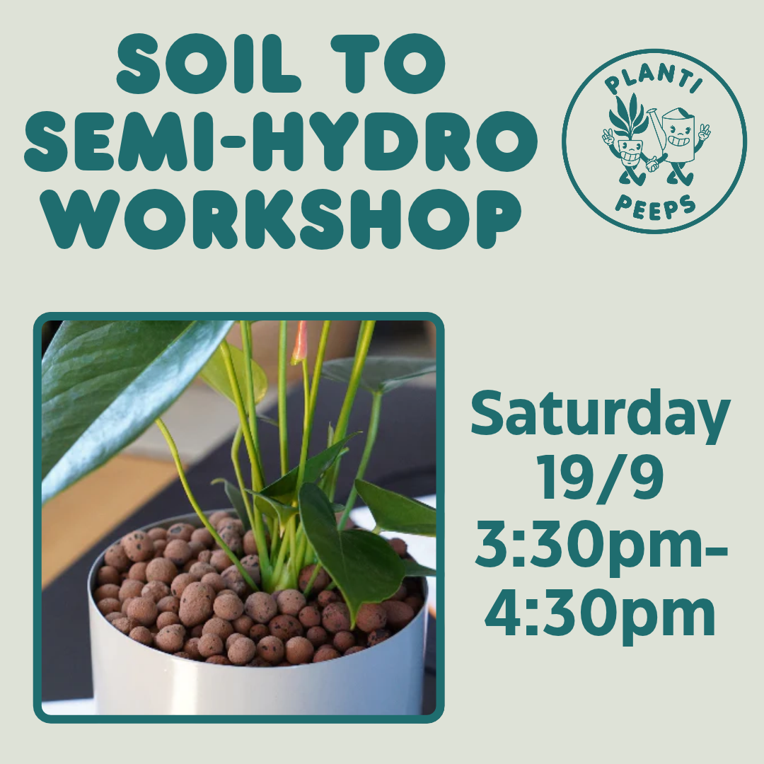 Soil to Semi-Hydro Workshop Ticket - Saturday 19/9