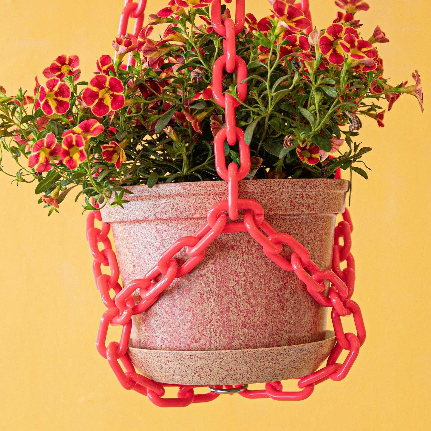 Woljam Sundae Series Pot w/Tray