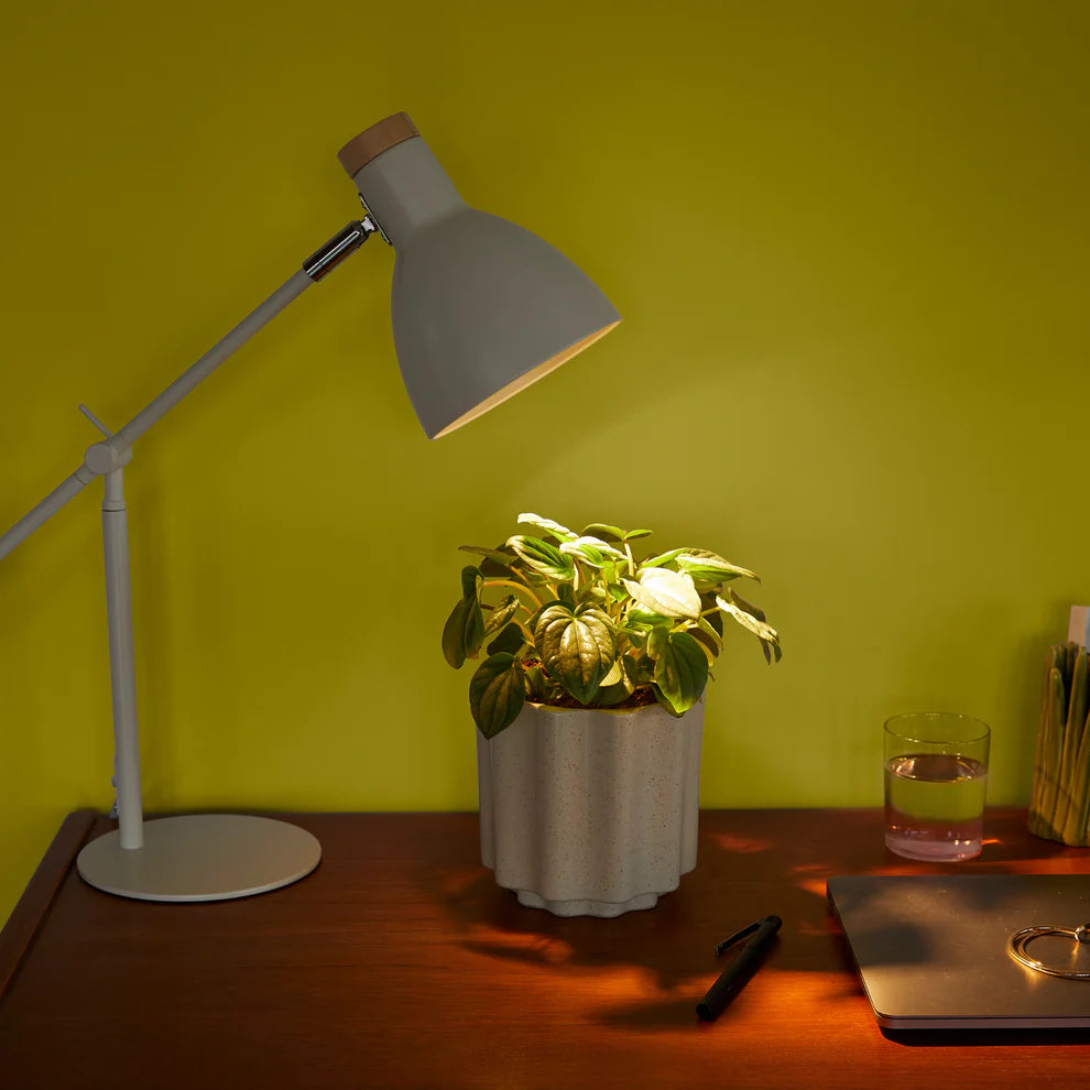 Instant Sun Grow Light Bulb